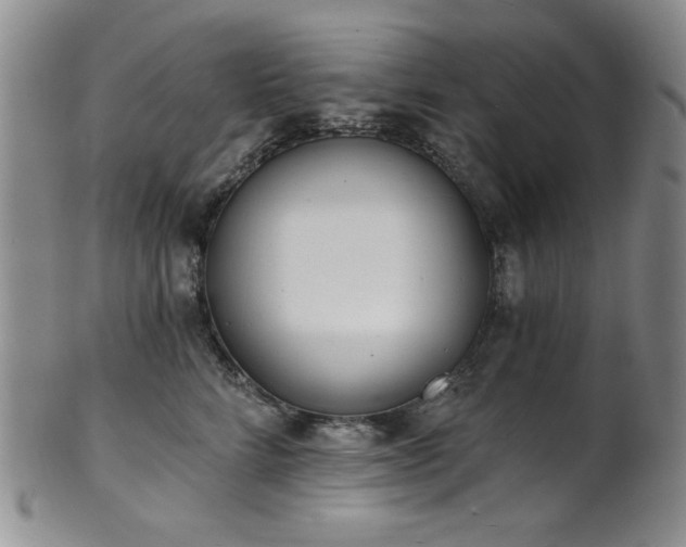 X0000101700712200807101537
