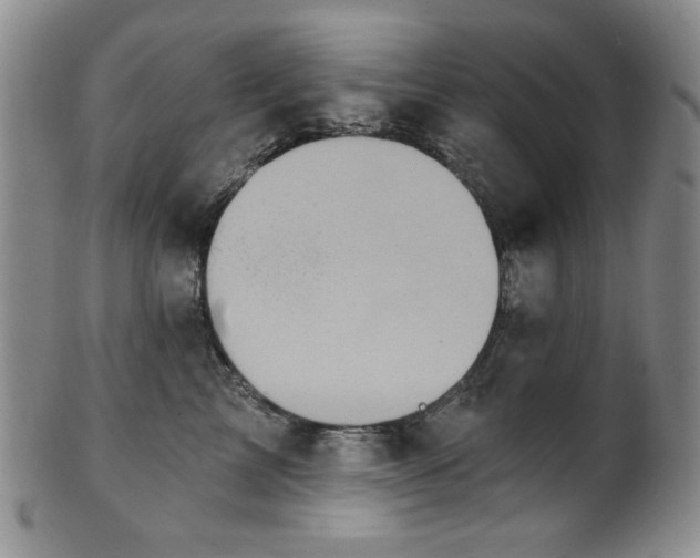 X0000101700713200807101537
