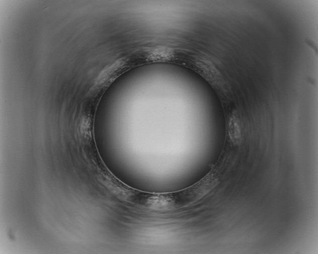 X0000101700714200807101537