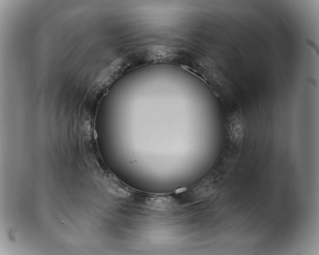 X0000101700716200807101537
