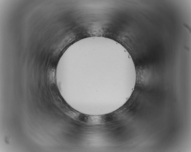 X0000101700717200807101537