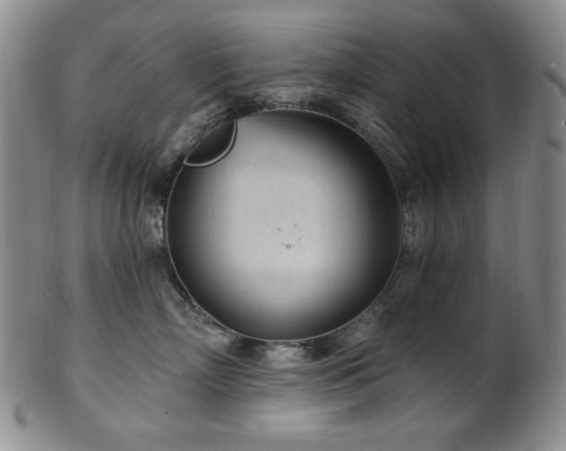 X0000101700718200807101537