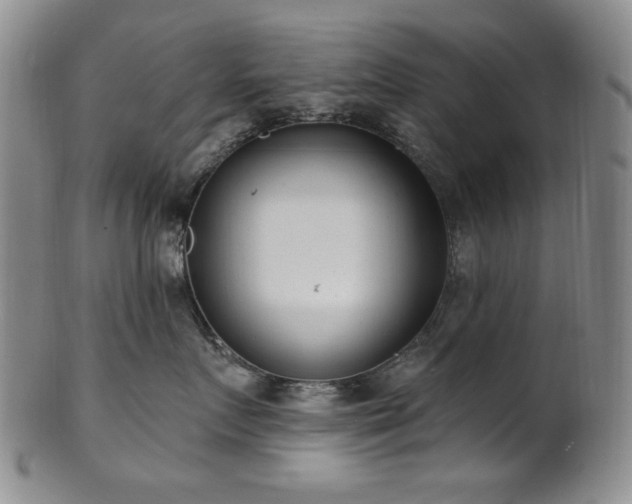 X0000101700719200807101537