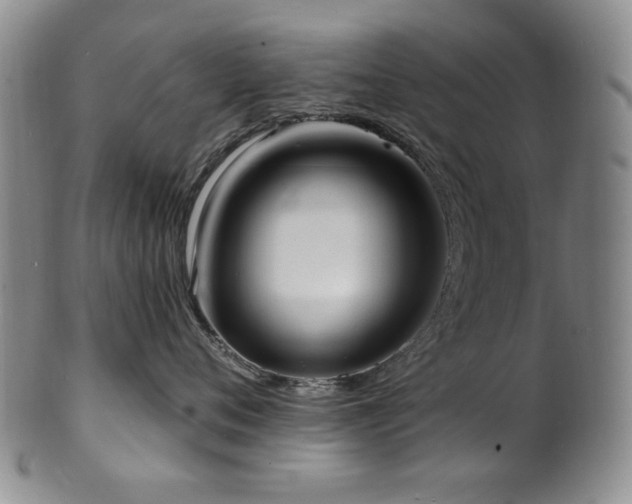 X0000101700720200807101537