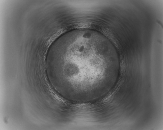 X0000101700721200807101536