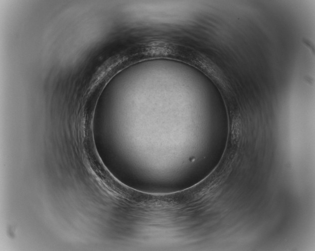 X0000101700722200807101536