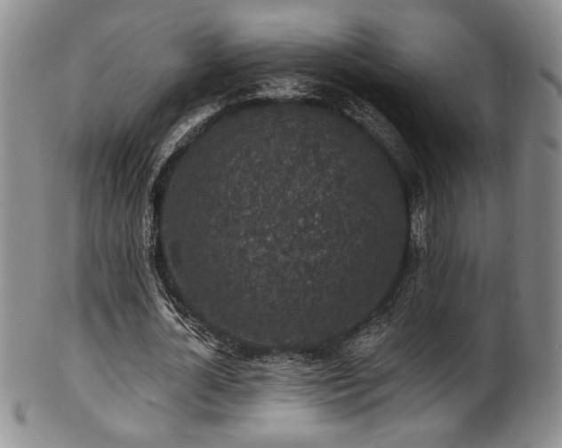 X0000101700724200807101536