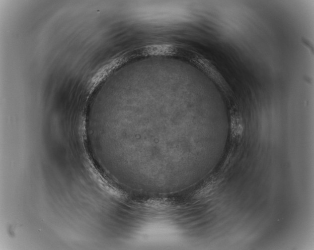 X0000101700725200807101536