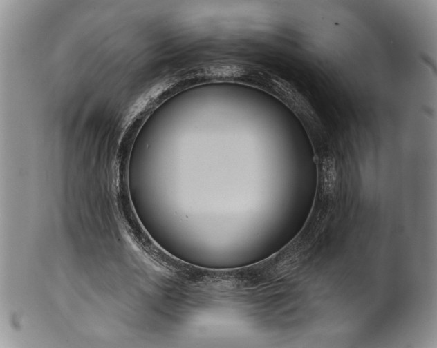 X0000101700726200807101536