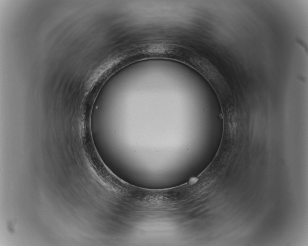 X0000101700728200807101536