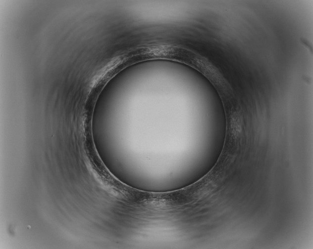 X0000101700730200807101536
