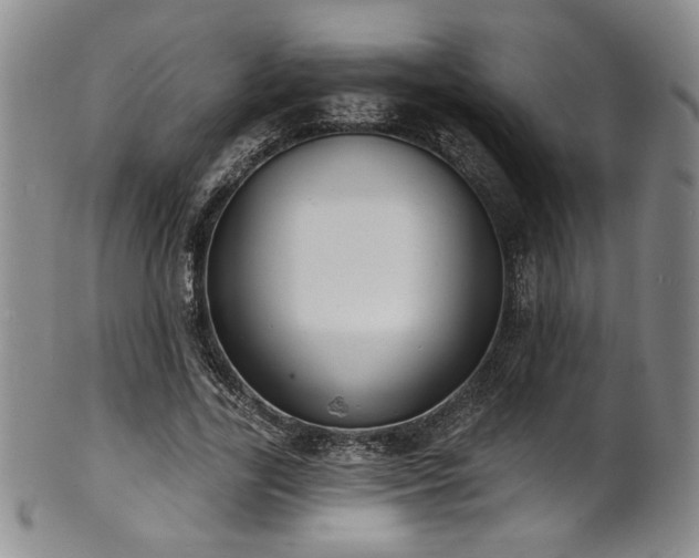 X0000101700731200807101536