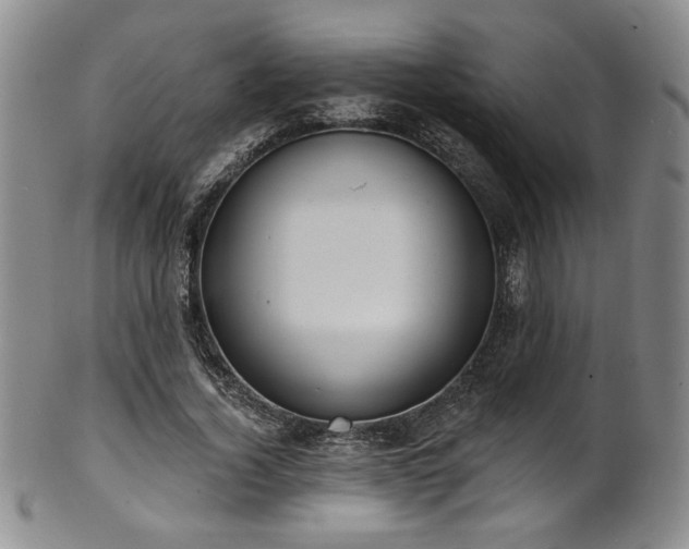 X0000101700732200807101536
