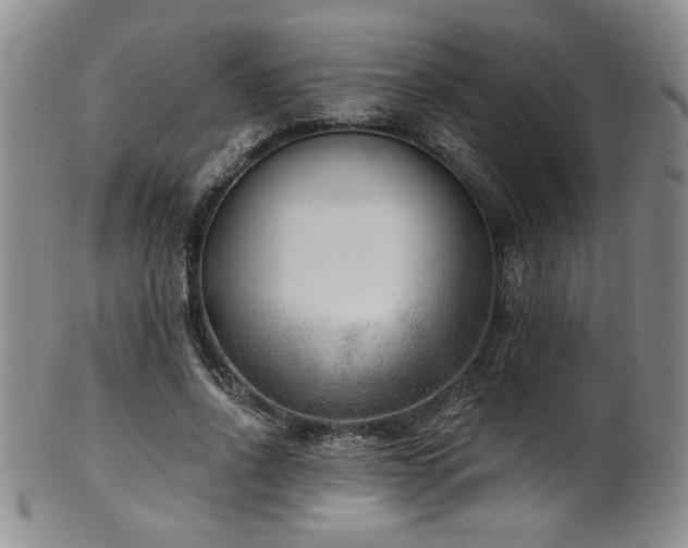 X0000101700734200807101536