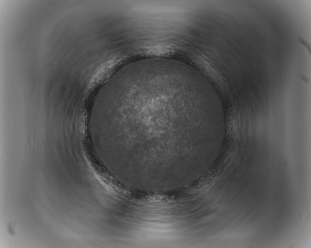 X0000101700736200807101536