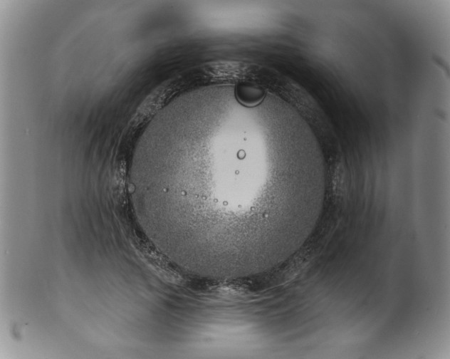 X0000101700737200807101536