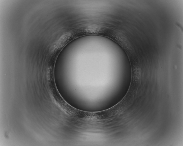 X0000101700738200807101536