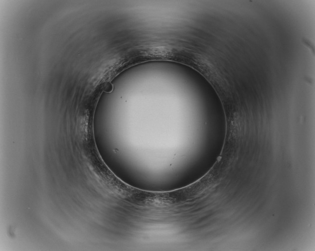 X0000101700739200807101536
