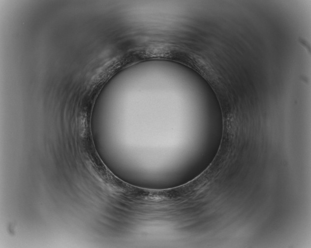 X0000101700741200807101536