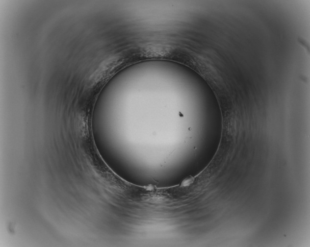 X0000101700743200807101536