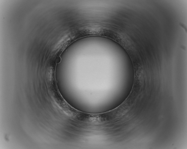 X0000101700744200807101536