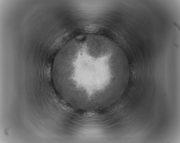 X0000101700745200807101536
