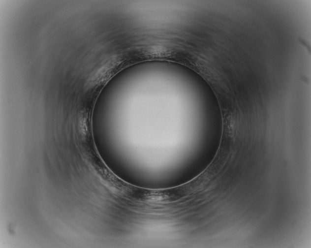X0000101700746200807101536