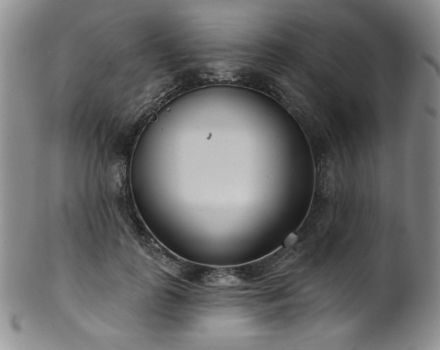 X0000101700747200807101536