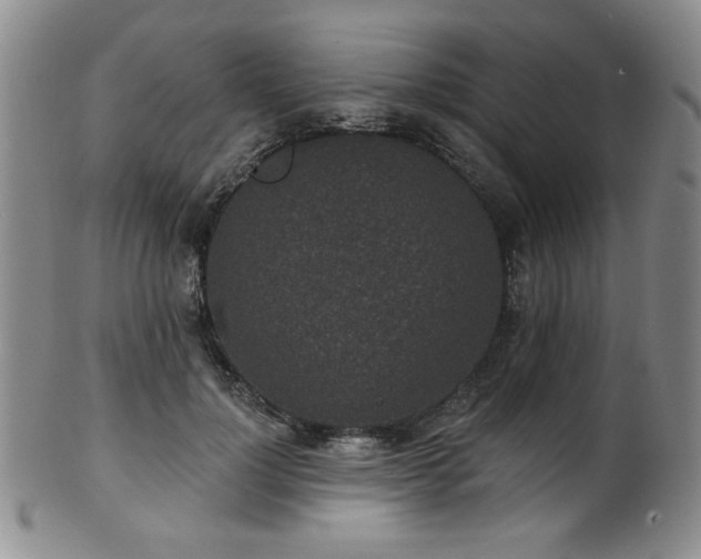 X0000101700748200807101536