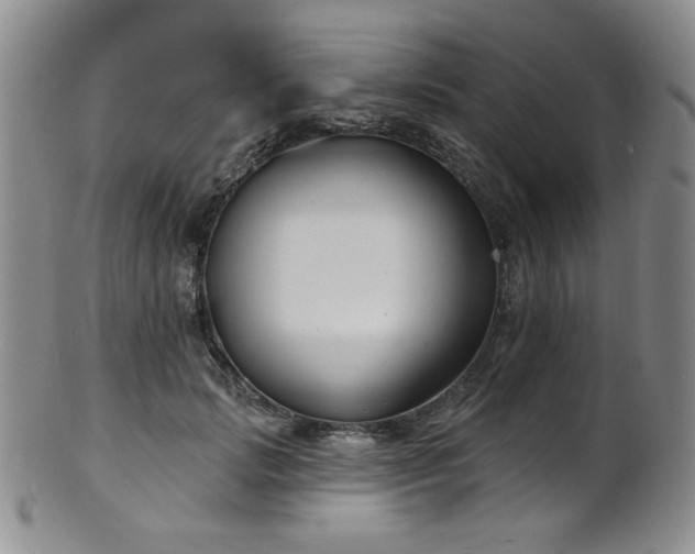 X0000101700749200807101536