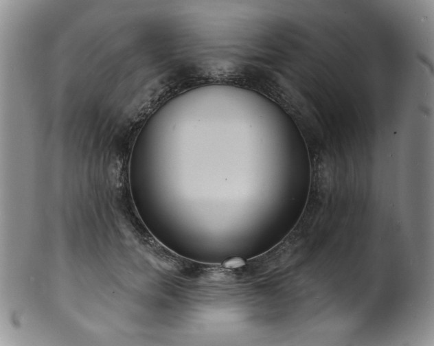 X0000101700750200807101536