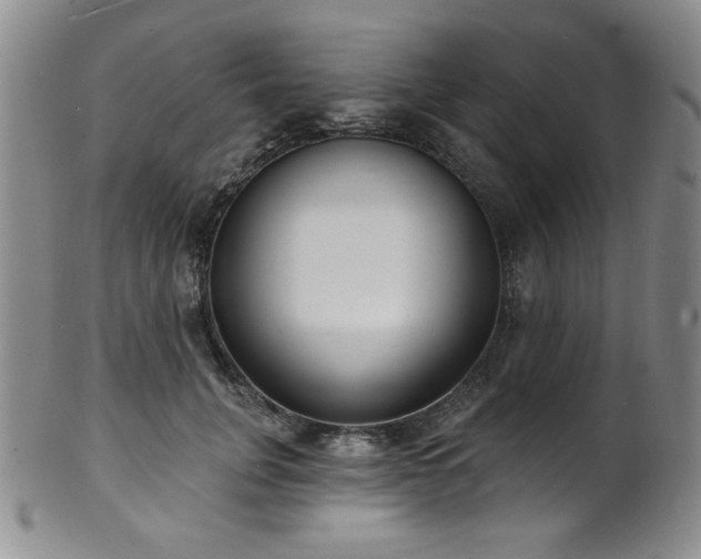 X0000101700751200807101536