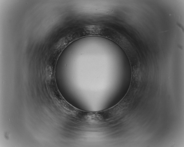 X0000101700752200807101536