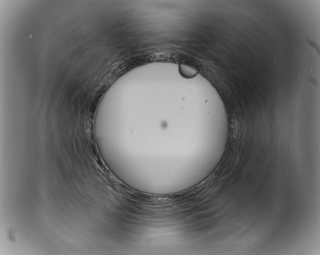 X0000101700753200807101536