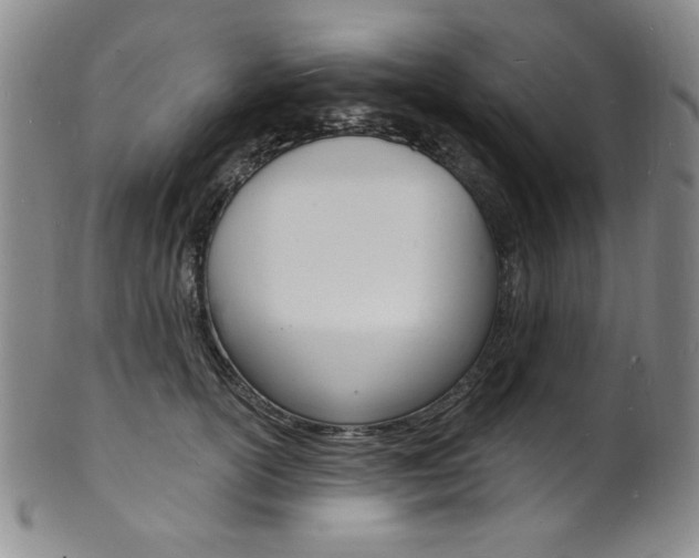 X0000101700754200807101536
