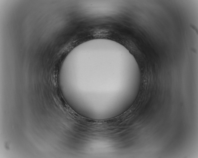 X0000101700755200807101536
