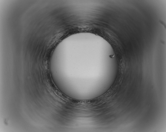 X0000101700756200807101536
