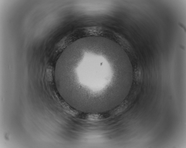 X0000101700757200807101536