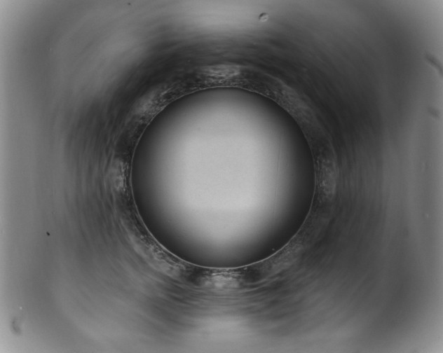 X0000101700758200807101536