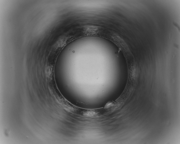 X0000101700759200807101536