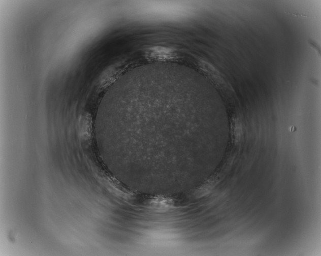 X0000101700760200807101537