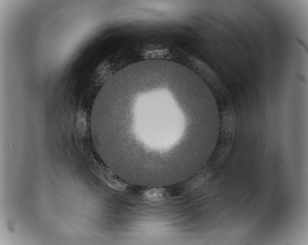 X0000101700761200807101537