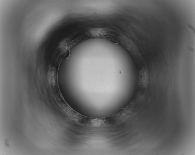 X0000101700762200807101537