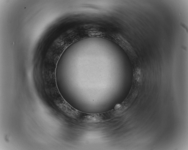 X0000101700763200807101537