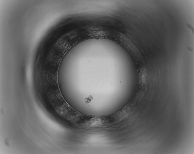 X0000101700764200807101537