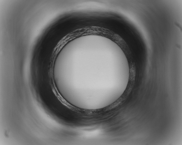 X0000101700765200807101537