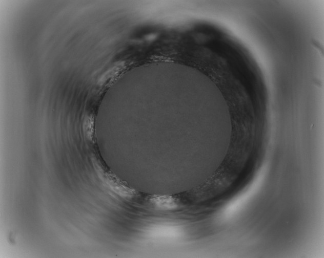 X0000101700767200807101537