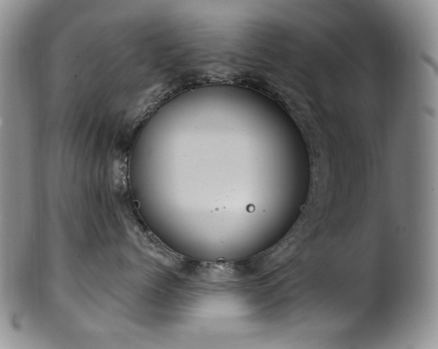 X0000101700768200807101537