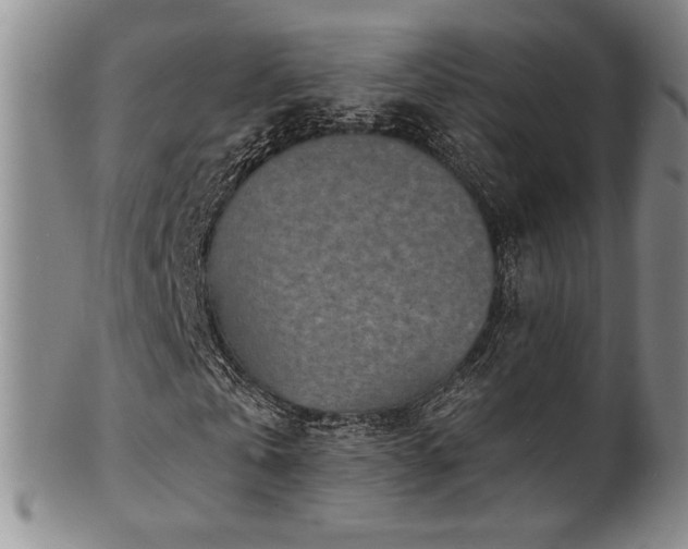 X0000101700769200807101536