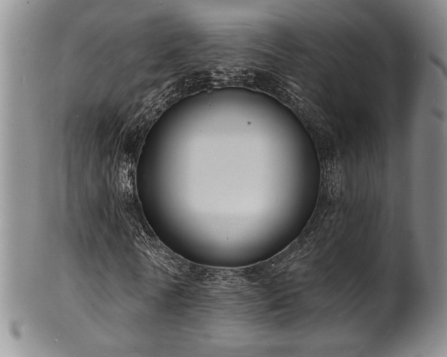 X0000101700770200807101536